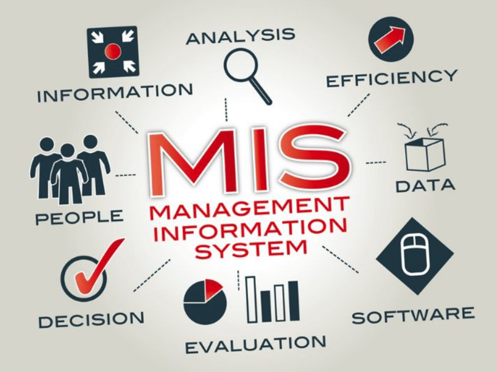 أهم المعلومات عن ماجستير نظم معلومات ادارية 2 أهمية ماجستير نظم معلومات ادارية